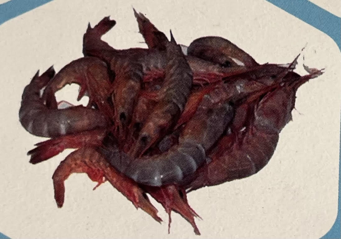 Karikkadi PUD Shrimp